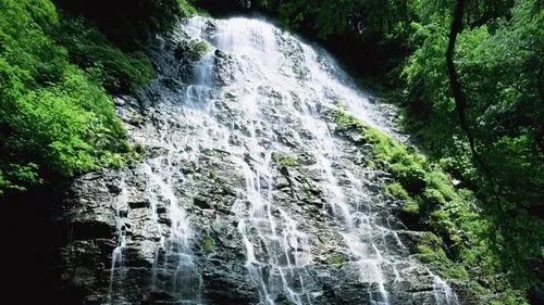 高效科技